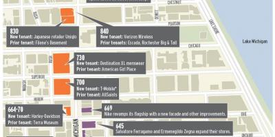 Magnificent mile Chicago map